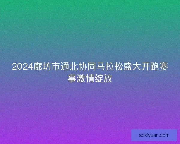 2024廊坊市通北协同马拉松盛大开跑赛事激情绽放