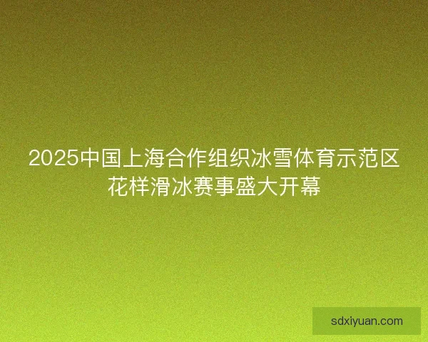 2025中国上海合作组织冰雪体育示范区花样滑冰赛事盛大开幕