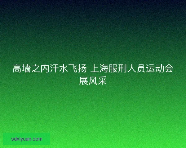高墙之内汗水飞扬 上海服刑人员运动会展风采