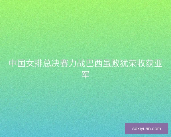 中国女排总决赛力战巴西虽败犹荣收获亚军